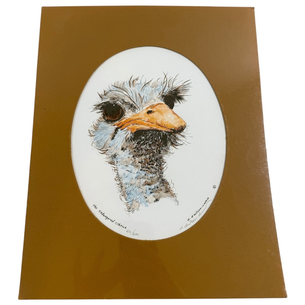 Endangered Ostrich Art Print by L. Coulson-Currin 11x14 Limited Edition 40/200